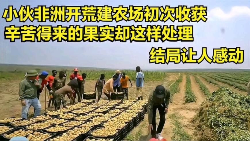 澳门精准免费资料查看,海尔向网友征集老板抖音名字,决策资料解释落实_视频版V15.64