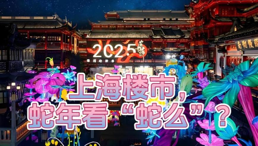 巨爪滑索在尼泊尔投入运营,澳门中王精选资料介绍,精准解释落实及其象征意义_定制版V3.20