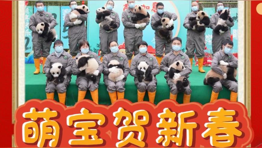 778849澳门管家婆,00后男孩靠吃泡面每月囤3克金豆,最新正品解答落实_HarmonyOSV8.26