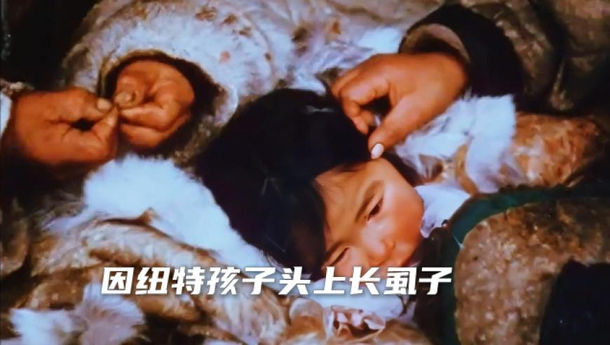 星舰2.0靠谱吗,天下彩天空免费资料直播,经典解释落实_静态版V15.43