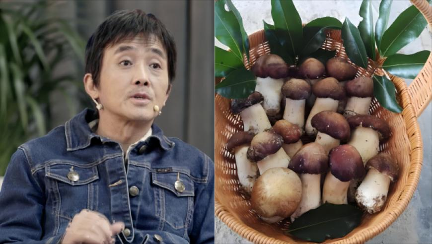雷军换抖音头像了,香港澳门资料大全2025年,展开解析落实_投资版V10.63