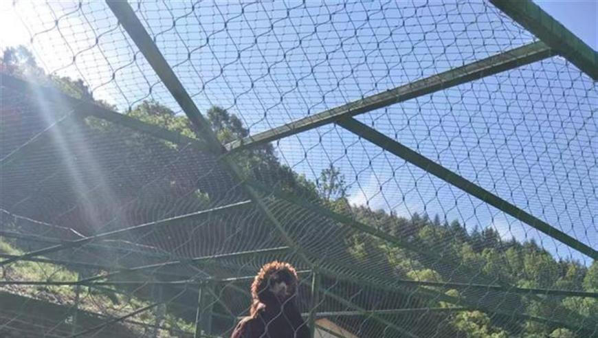 女装啥时候能回归正常审美,澳门六下彩精准资料网站,最新正品解答落实_精简版V5.76