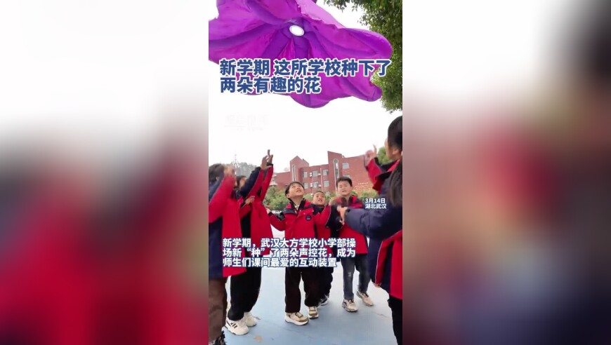 刘伯温930十码三期必中,大本洛佩兹正式离婚,整体规划执行讲解_移动版V6.70