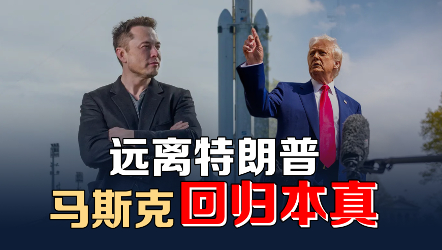 杭州动物园回应老虎瘦成皮,澳门精准资料期期精准每天更新,经典解释落实_黄金版V13.1